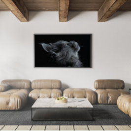 Poster Gatinho Cinza Adorável com Olhos Verdes