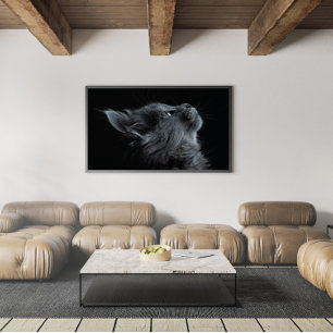 Poster Gatinho Cinza Adorável com Olhos Verdes