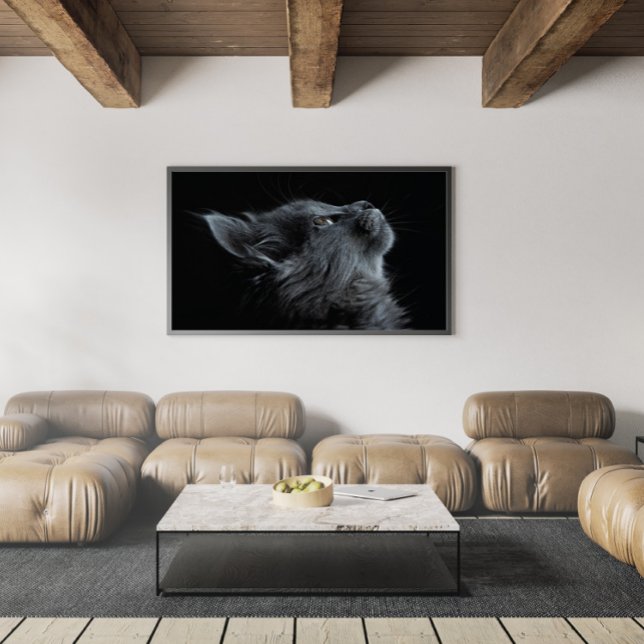 Poster Gatinho Cinza Adorável com Olhos Verdes (Criador carregado)