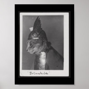 Poster Gatinho de Brunnhilde