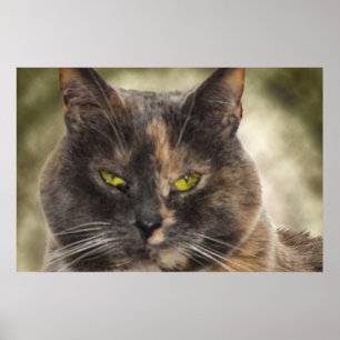 Poster Gatinho De Caneca - Faça O Que Quer?