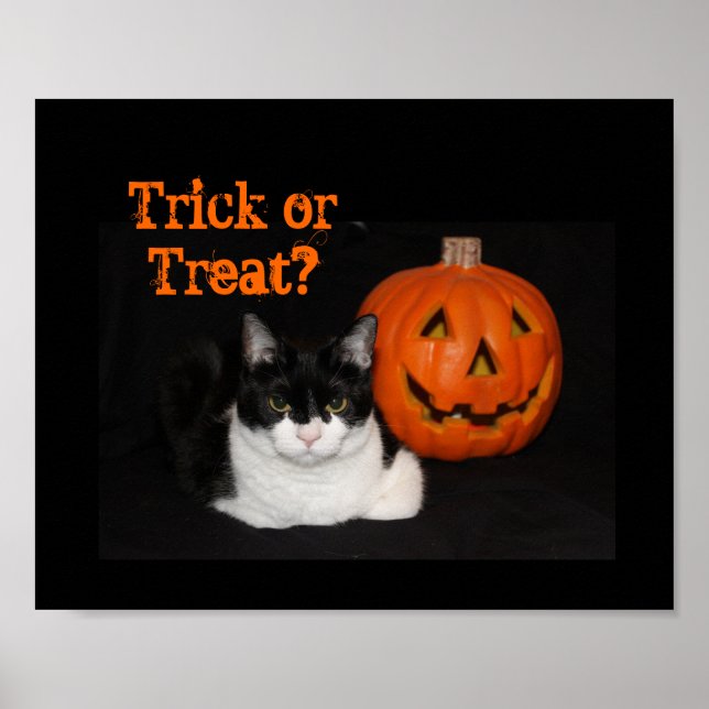 Poster Gatinho de Halloween (Frente)