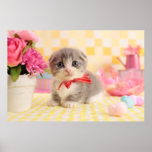 Poster Gatinho de Munchkin