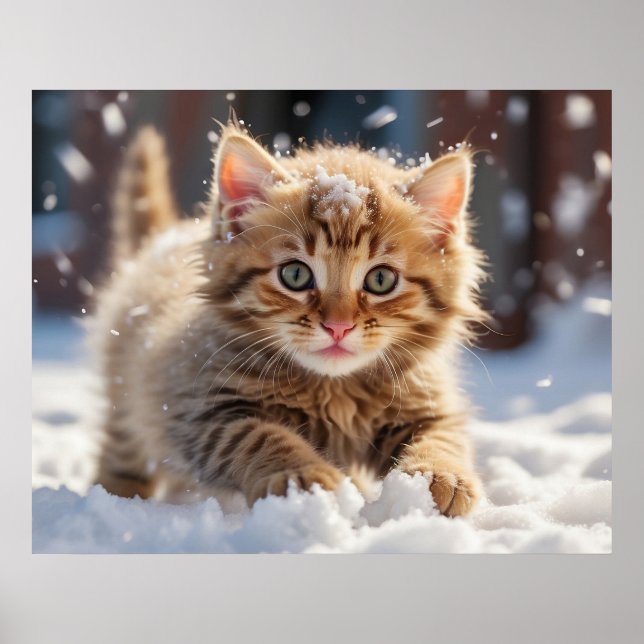 Poster *~* Gatinho de Neve de Fazer 5:4 Gatinho Cat AP68 (Frente)