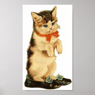 Pôster Gatinho do vintage