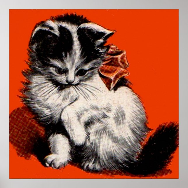 Poster gatinho doce (Frente)