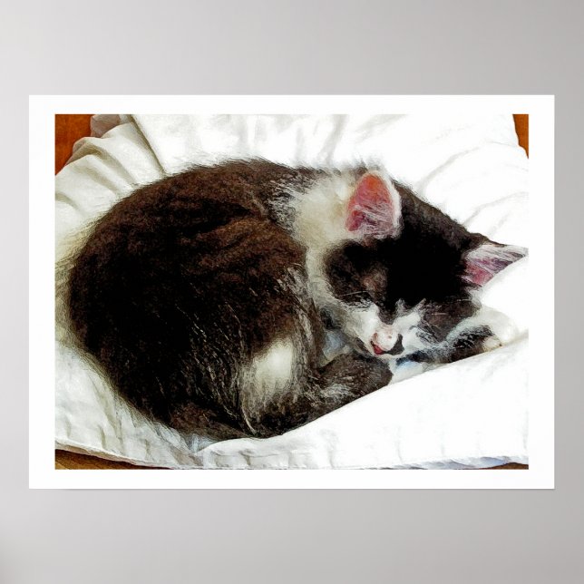 Poster Gatinho dormindo no computador branco (Frente)