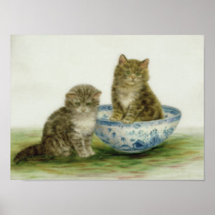Pôster Gatinho em uma bacia azul de China