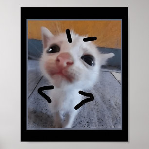 Poster Gatinho Engraçado Gato Furioso Fresco Gatinho Fres
