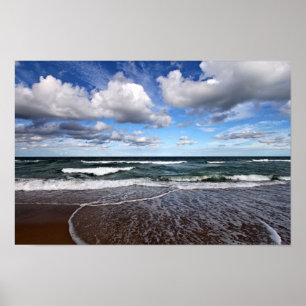 Poster Gatinho Hawk Surf