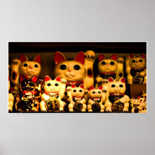 Poster Gatinho Lucky Beconing