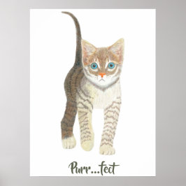 Poster Gatinho Malhado Branco