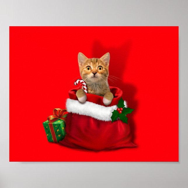 Poster Gatinho na bolsa de Natal (Frente)