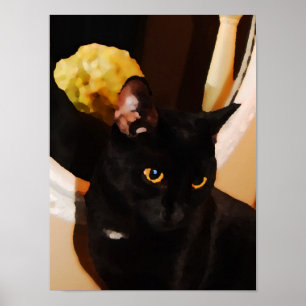 Poster Gatinho Preto