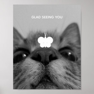 Poster Gatinho preto&branco de 17 anos