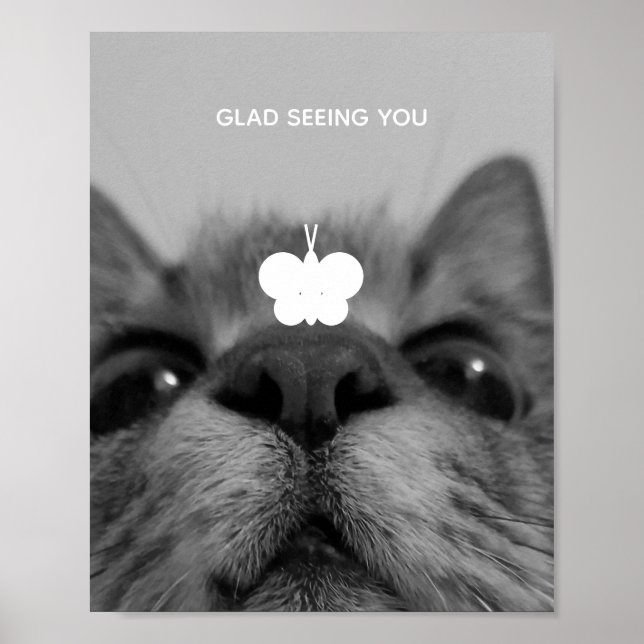 Poster Gatinho preto&branco de 17 anos (Frente)