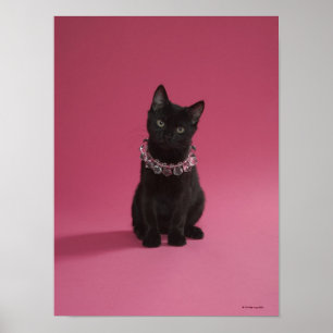 Pôster Gatinho preto usando colar de jóias