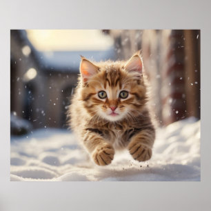 Poster *~* Gatinho voador 5:4 Kitten Cat AP68