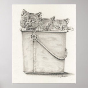 Pôster Gatinhos