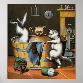 Poster Gatinhos Bath - Vintage Art