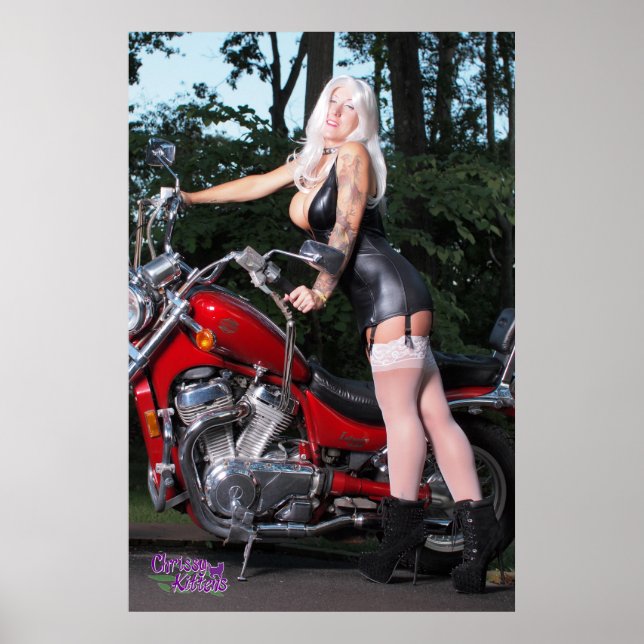 Pôster Gatinhos Chrissy de 36" x 24" (Frente)