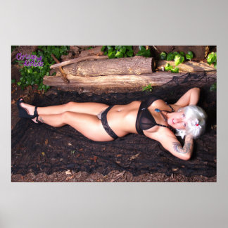 Poster Gatinhos Chrissy De 36" x 24" Pelo Registro