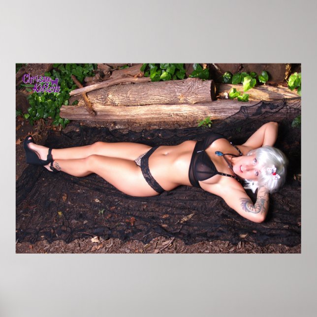 Poster Gatinhos Chrissy De 36" x 24" Pelo Registro (Frente)