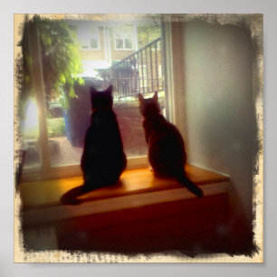 Pôster Gatinhos de Vista de Janela