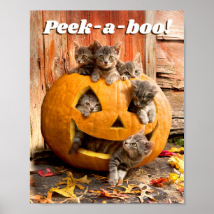 Poster Gatinhos no Jack-o-Lanterna