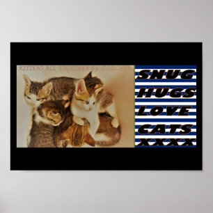 Poster Gatinhos repostos originais