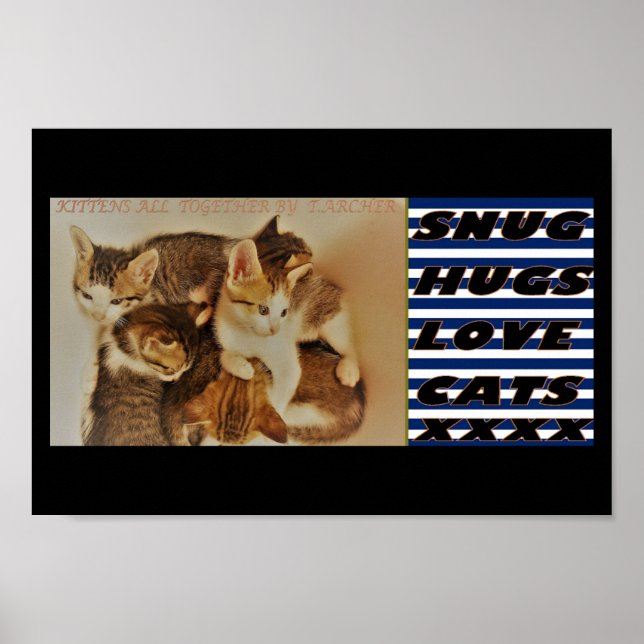 Poster Gatinhos repostos originais da imagem (Frente)