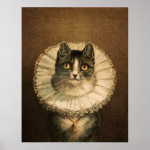 Poster Gato