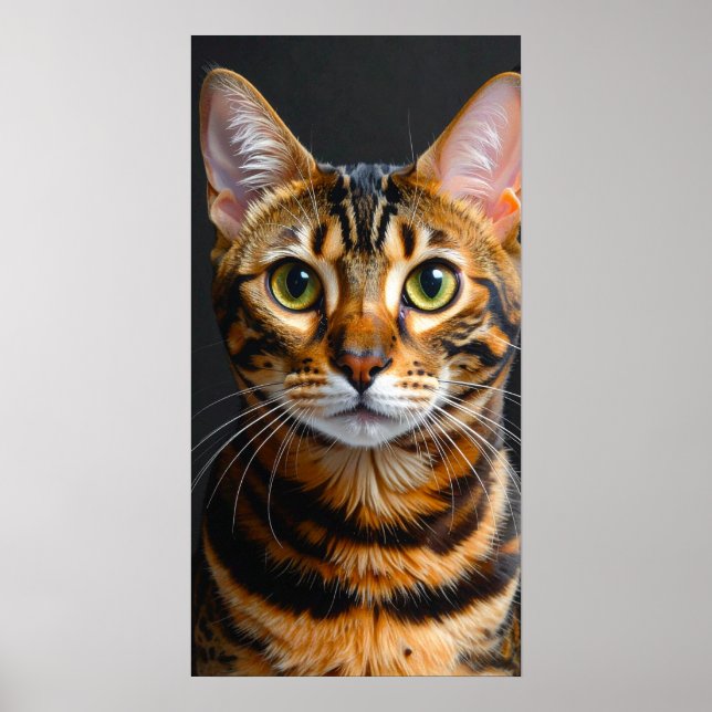 Poster gato (Frente)