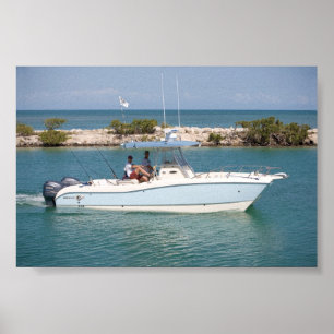 Poster Gato 270SF do mundo