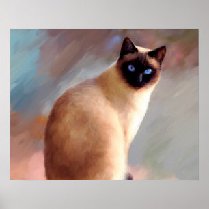 Poster Gato 613 siamese