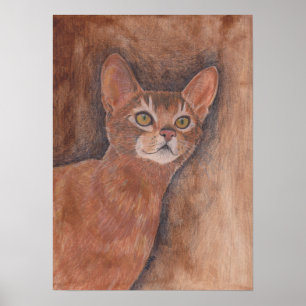 Poster Gato Abyssinian