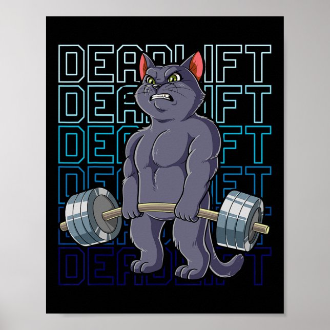 Poster Gato Academia Treinamento com Peso Levantamento de (Frente)