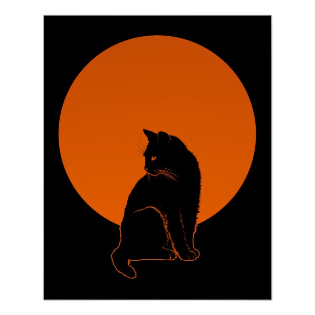 PÔSTER GATO AO LUAR (Frente)