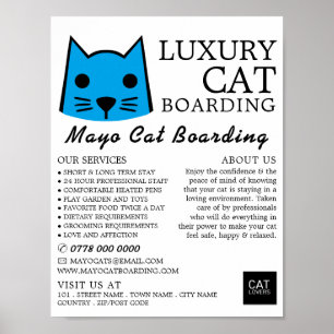 Poster Gato Azul, Embarque De Gato, Publicidade De Cateri