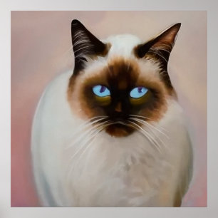 Poster Gato Balinês