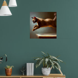Poster Gato birmanês