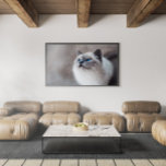 Poster Gato birmanês com olhos azuis impressionantes<br><div class="desc">Adicione um toque de elegância à sua decoração doméstica com esta bela canvas/poster com um gato birmanês com olhos azuis mesmerisores. Essa imagem de alta qualidade captura a personalidade e a beleza únicas desses amados companheiros felinos. Perfeito tanto para amantes de gatos como para decoradores de casas, essa canvas/poster está...</div>