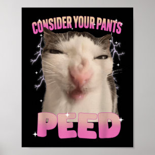 Poster Gato Bobo de Calças Molhadas de Urina Meme Diverti