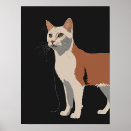 Poster Gato branco e laranja em fundo preto