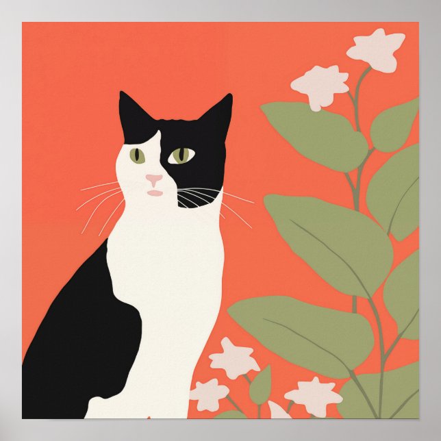 Poster Gato branco e preto (Frente)