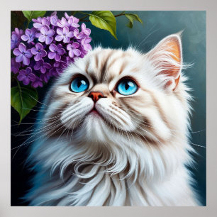 Poster Gato Branco Fofinho Com Olhos Azuis