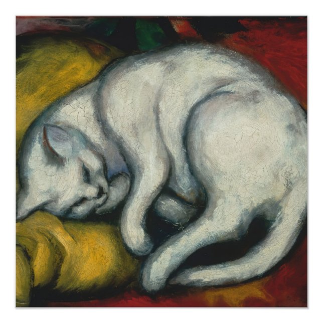 Pôster Gato Branco, Franz Marc Poster (Frente)
