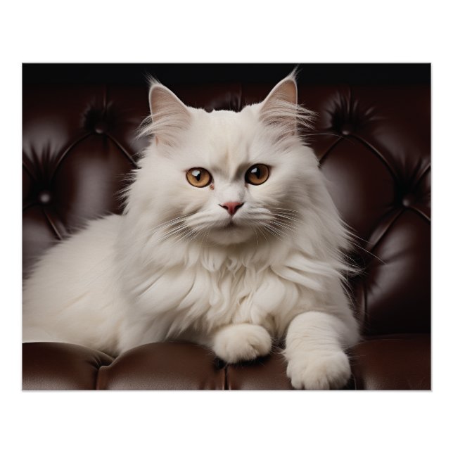 Pôster Gato branco majestoso (Frente)
