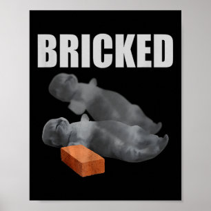 Poster Gato Bricked Engraçado Nocauteado Cats Sayi Bobo