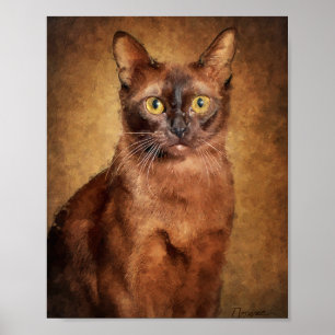 Poster Gato Burmês Marrom